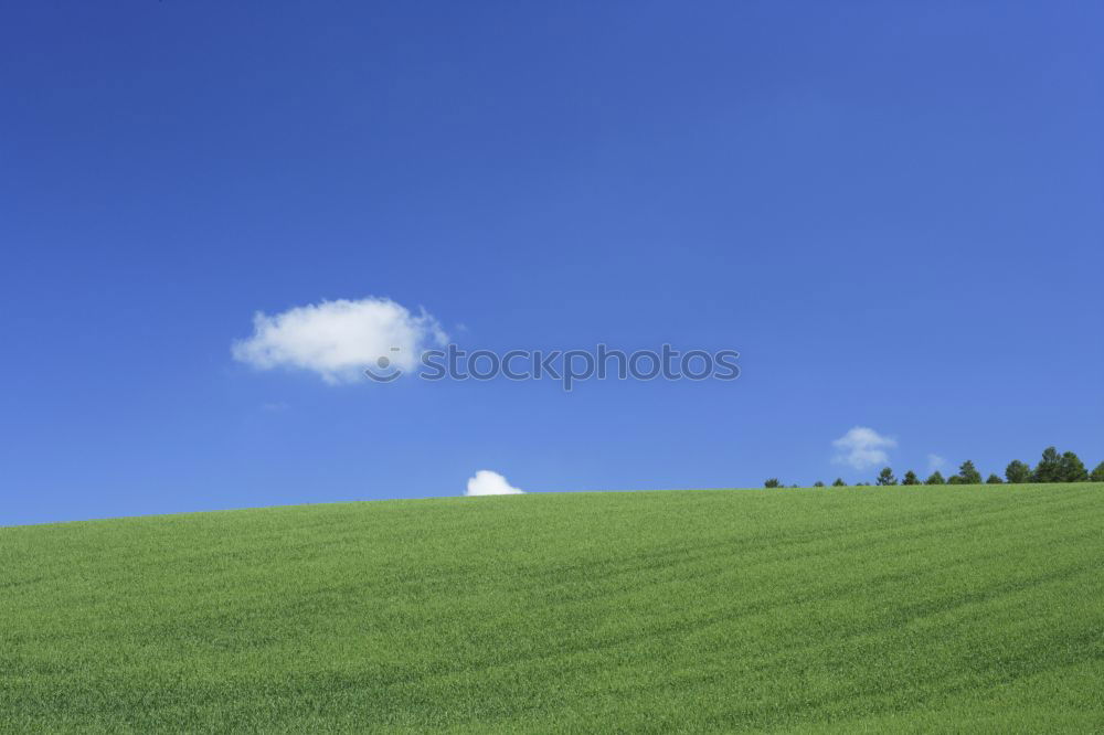 Similar – large green meadow_03