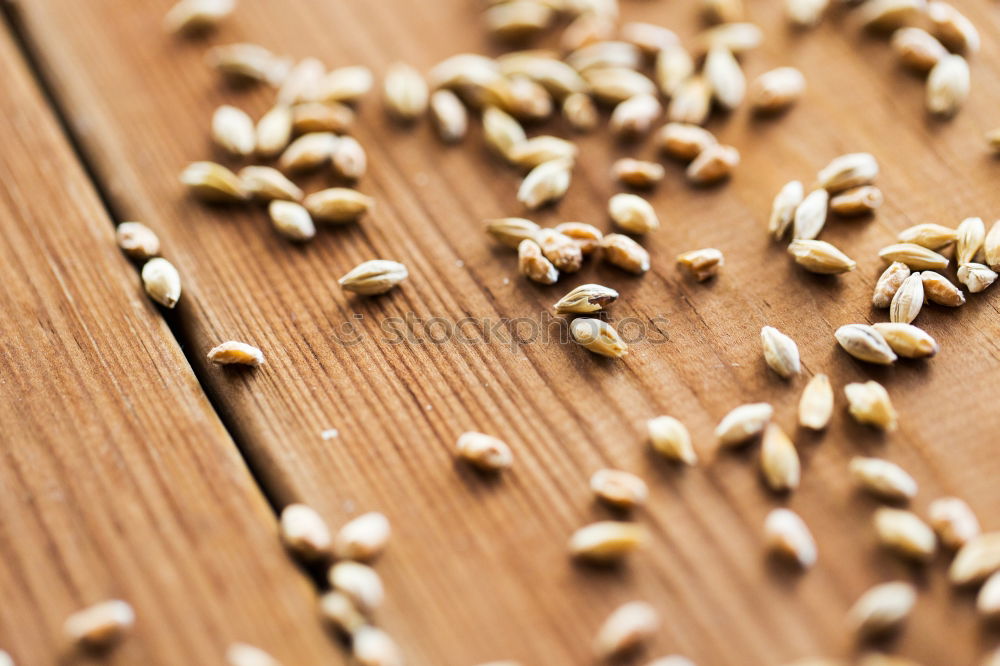 Similar – Image, Stock Photo sunflower seeds Nutrition