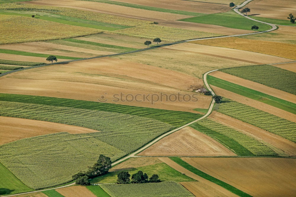 agriculture Workplace