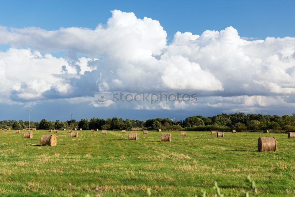 Similar – Foto Bild Kreisgrenze Umwelt Natur