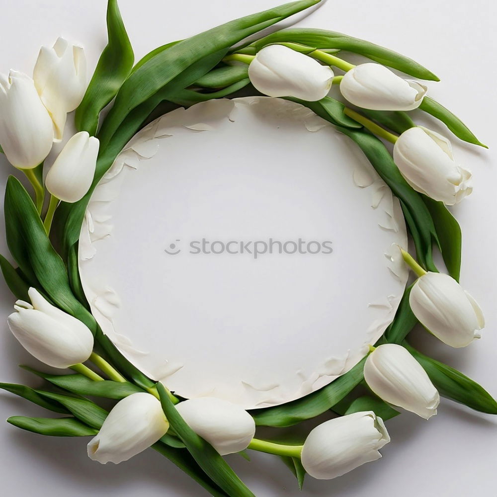 Similar – Image, Stock Photo Spring wreath with tulips