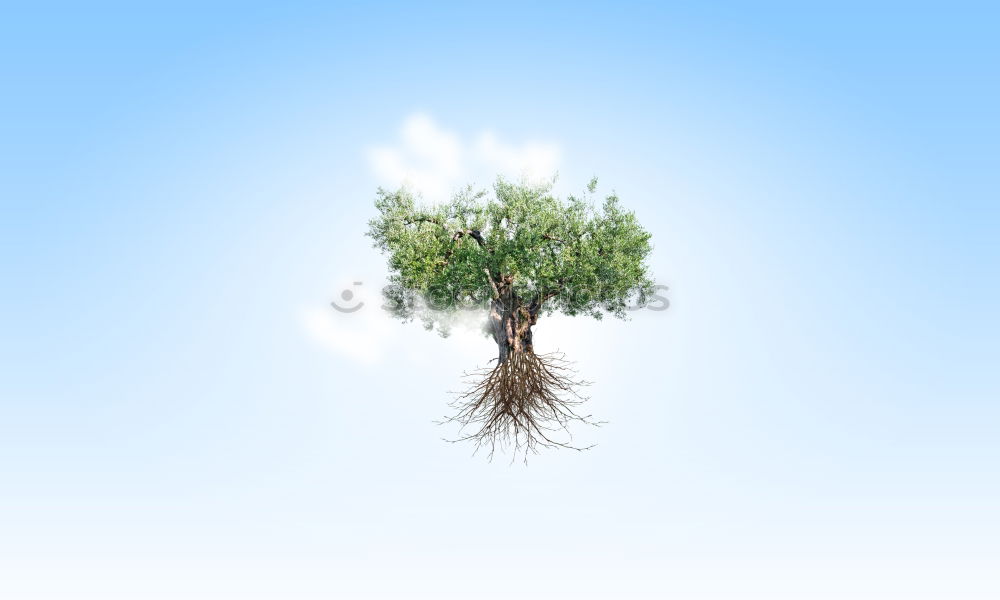 Image, Stock Photo Tree in the sky