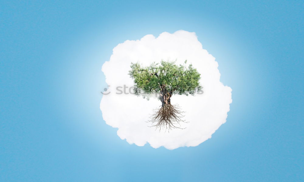 Similar – Image, Stock Photo towards the sun