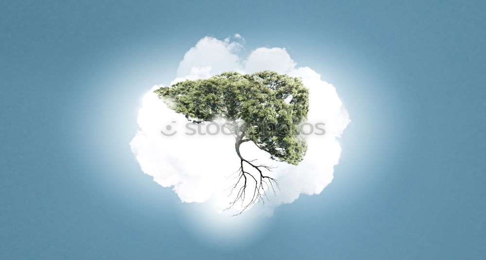 Similar – Image, Stock Photo Mystical Environment