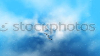 Similar – Image, Stock Photo winter Nature Sky Winter