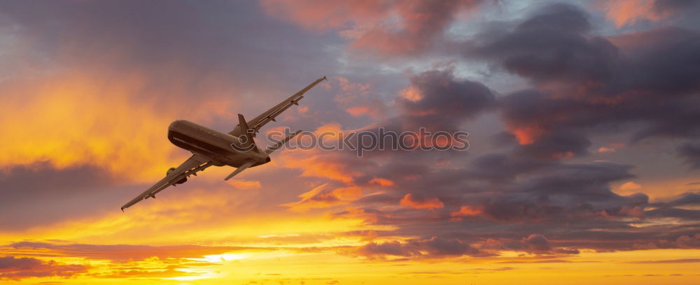 Similar – Foto Bild Graf Zahn Sonnenuntergang