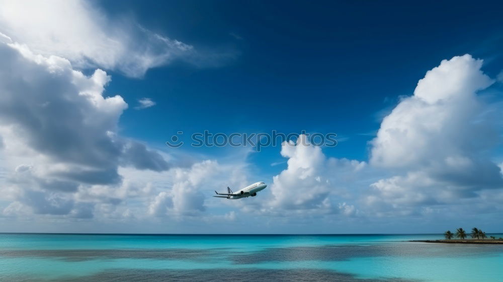 Airplane approaching a tropical island . Sea , sun , palm trees and blue sky