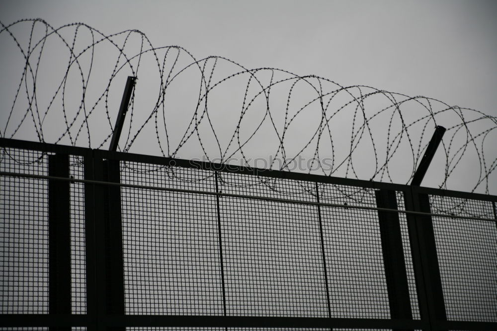 Similar – Prison security fence. Barbed wire security fence. Razor wire jail fence. Barrier border. Boundary security wall. Prison for arrest criminals or terrorists. Private area. Military zone concept.