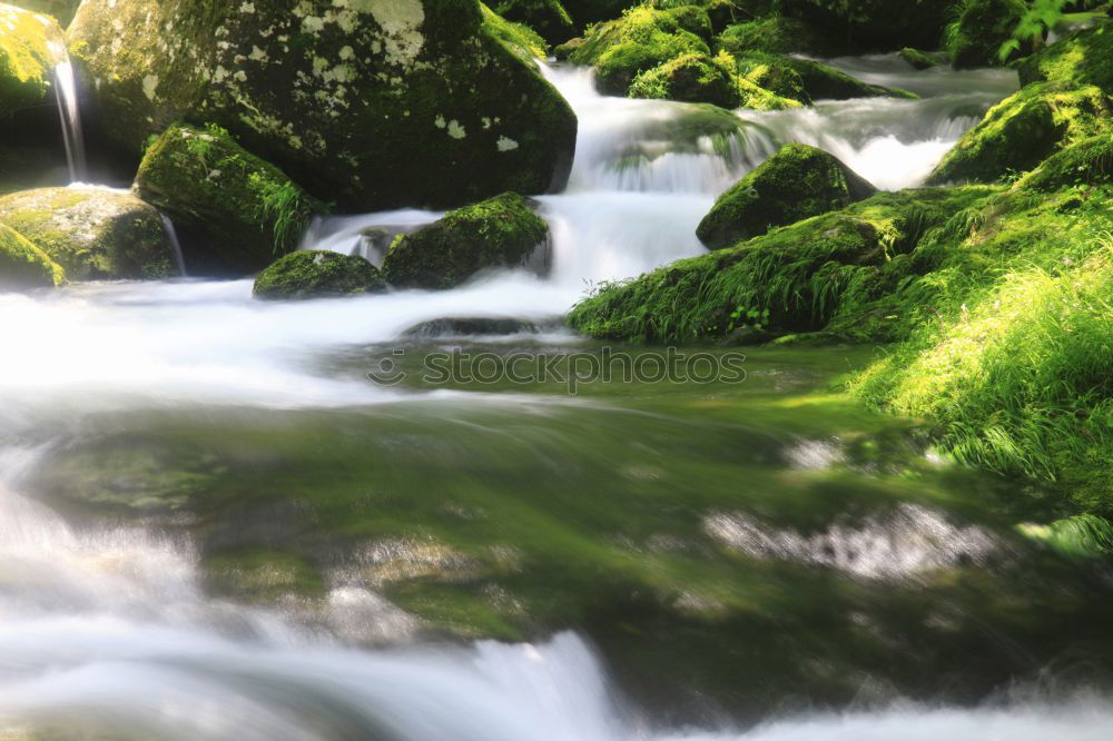 Similar – Image, Stock Photo watercourse Environment