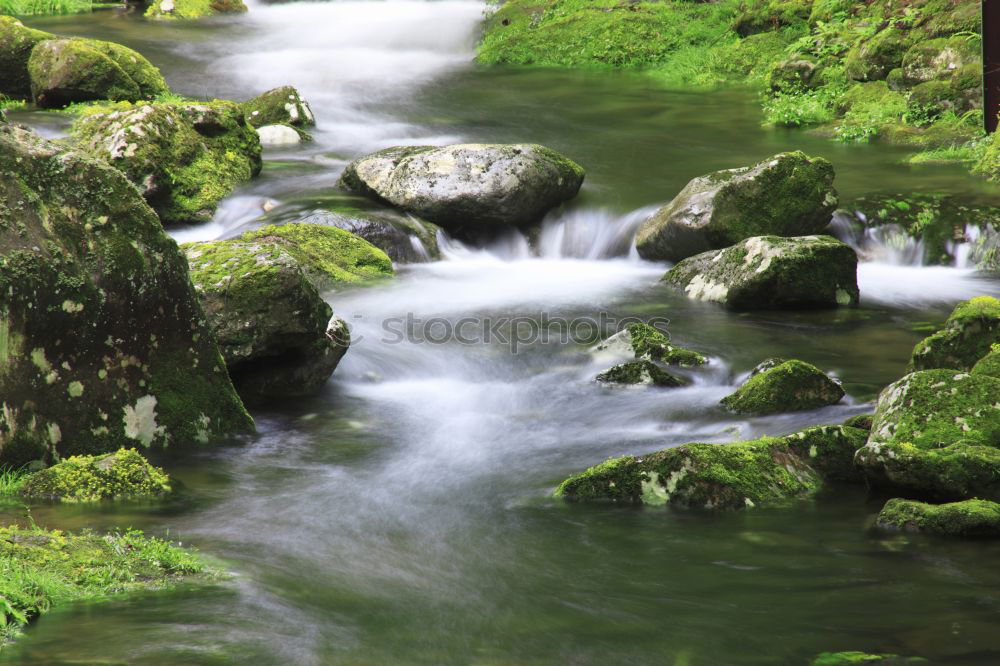 Similar – Water Brook Green River