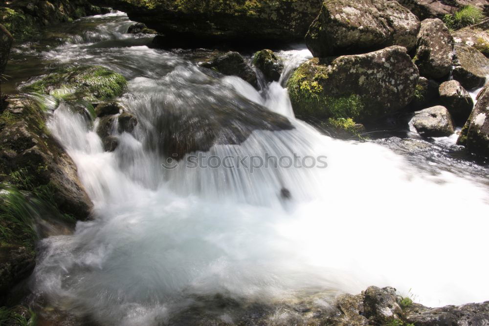 Similar – Image, Stock Photo by the rushing brook….