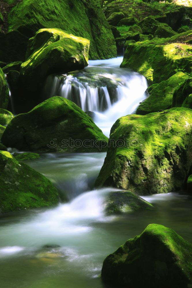 Similar – Water Brook Green River