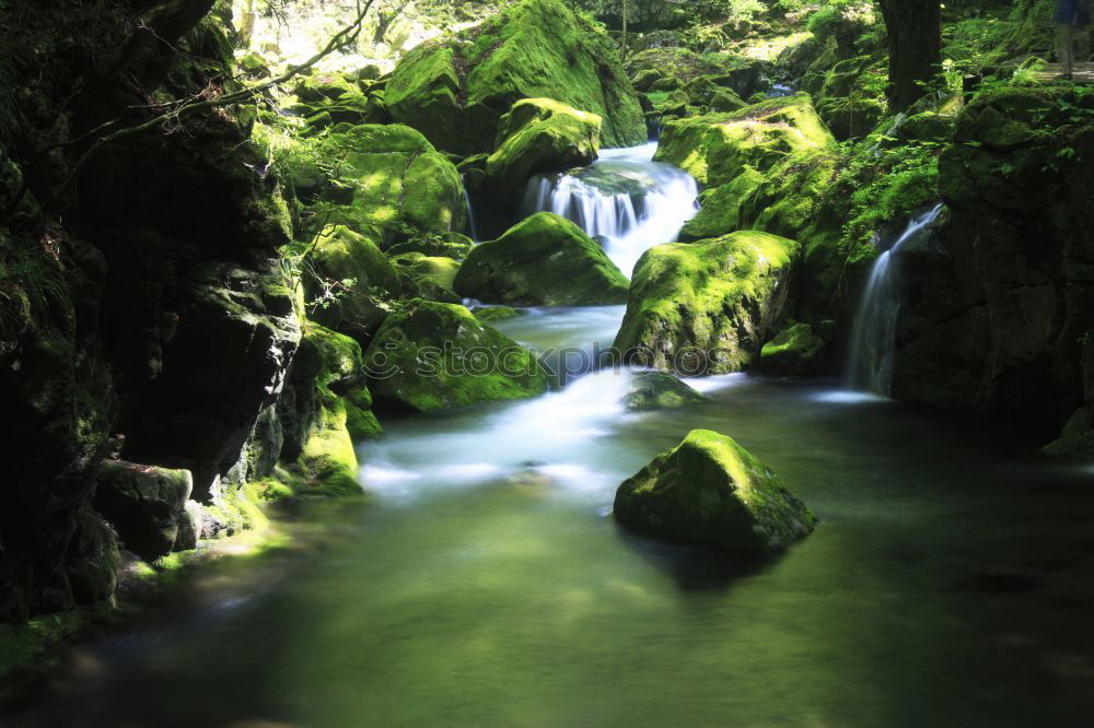 Similar – Water Brook Green River