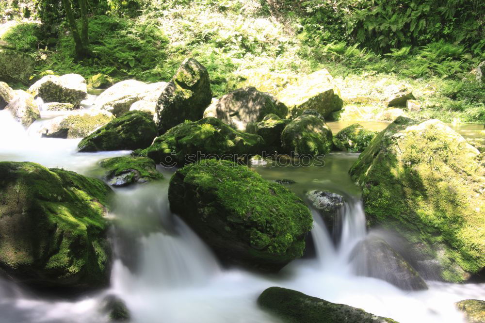 YS Waterfall Jamaica