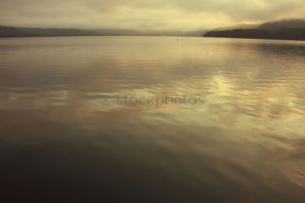 Similar – Image, Stock Photo Bleilochtalsperre Nature