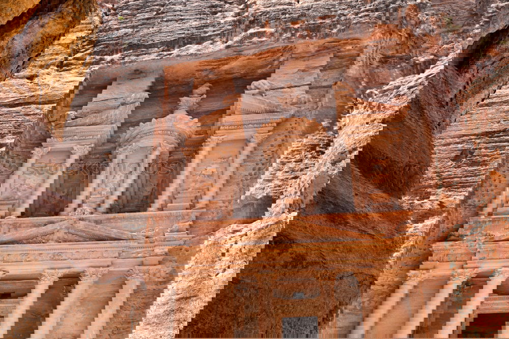 Similar – Image, Stock Photo Camels on ground against ancient temple carved in rock