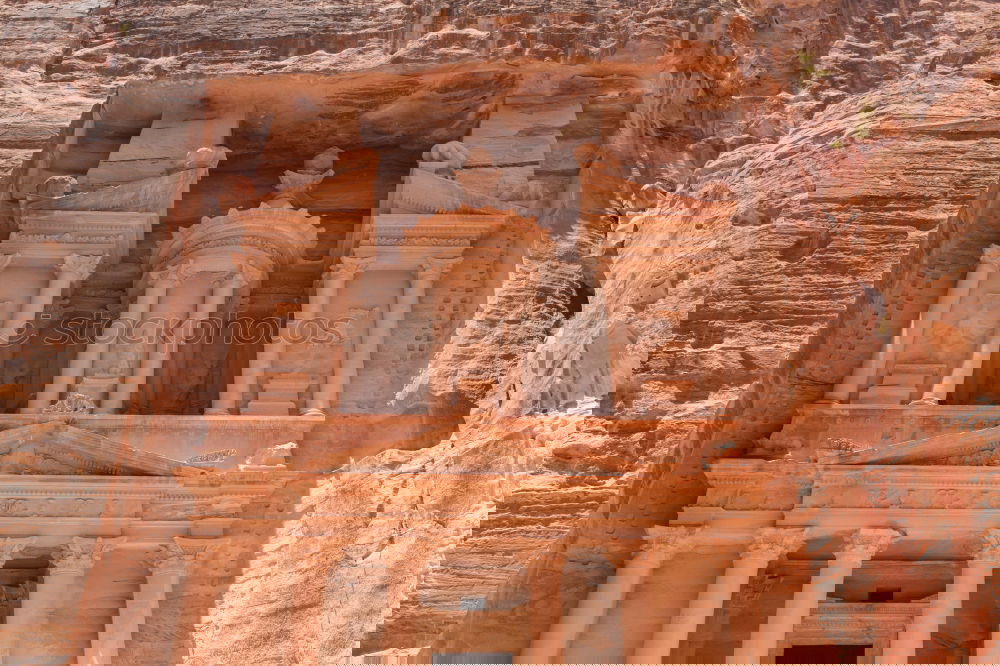 Similar – Image, Stock Photo Camels on ground against ancient temple carved in rock