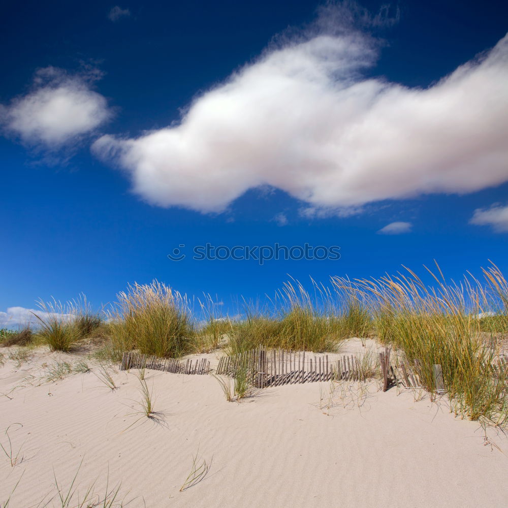 Similar – Image, Stock Photo Landscape in the dunes on the island of Amrum