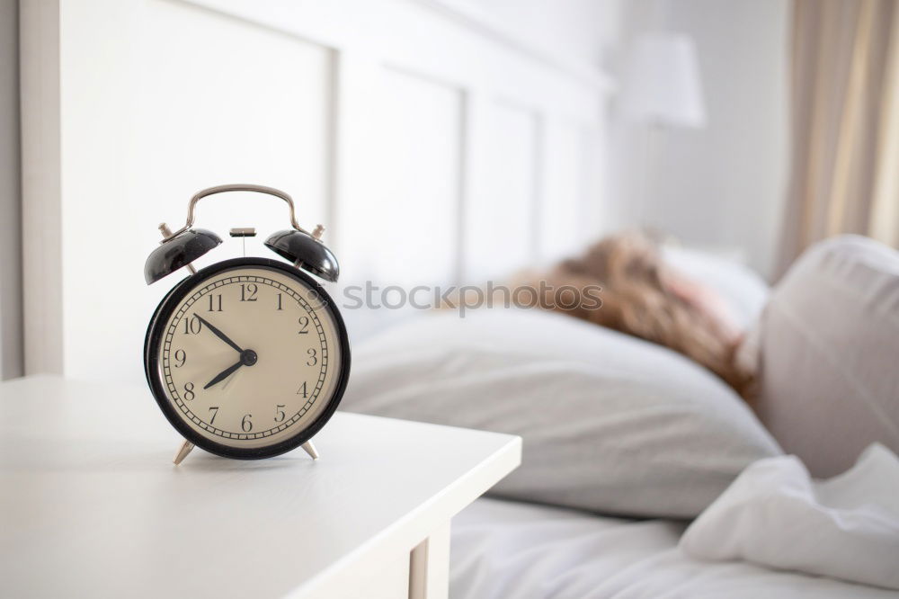 Similar – dog on bed with white sheets and alarm clock