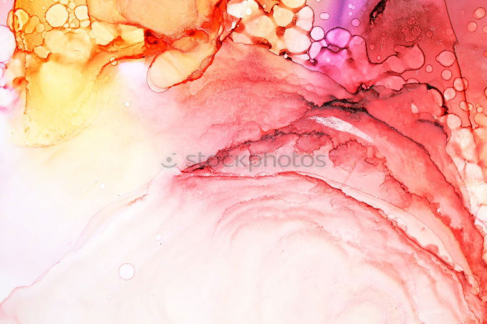 Similar – Image, Stock Photo The first snow Environment