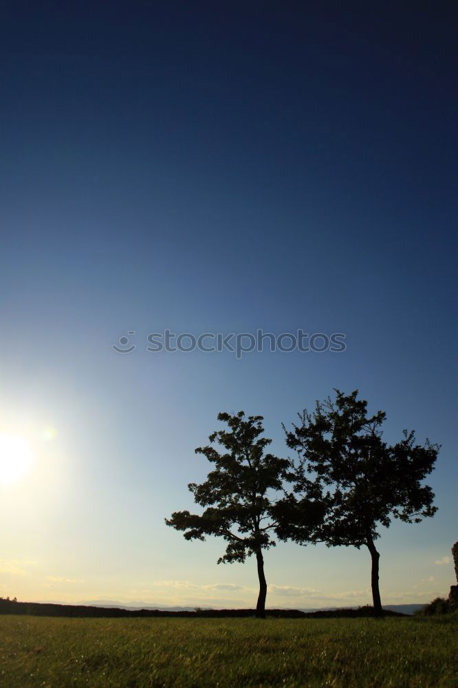 Similar – yellow blue white Tree