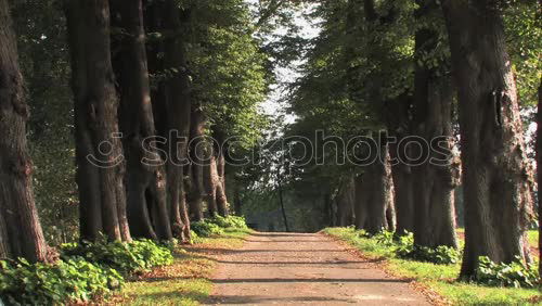 Similar – Road sign at road in forest