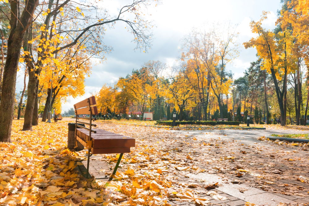 Similar – Image, Stock Photo long bank. Calm