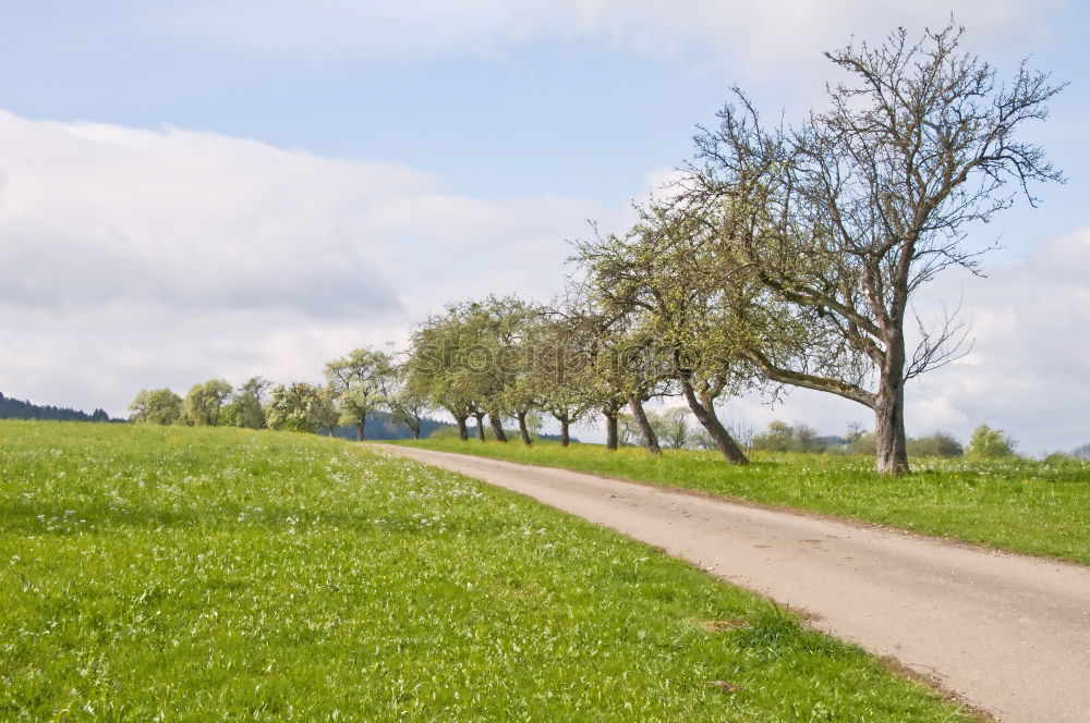 Similar – Foto Bild Kreisgrenze Umwelt Natur