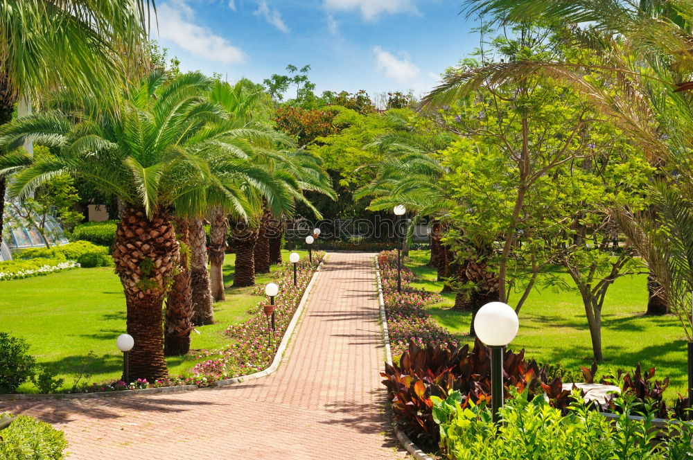 Similar – Zanzibar I Park Deserted