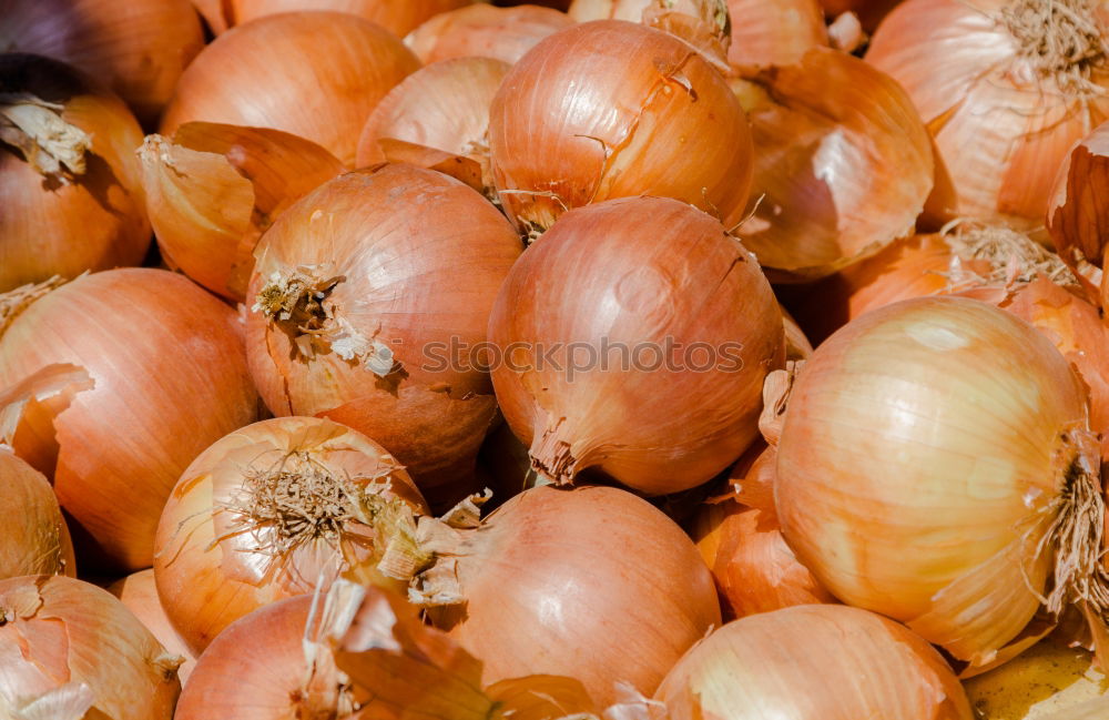 Similar – Image, Stock Photo Onions & Ginger Food