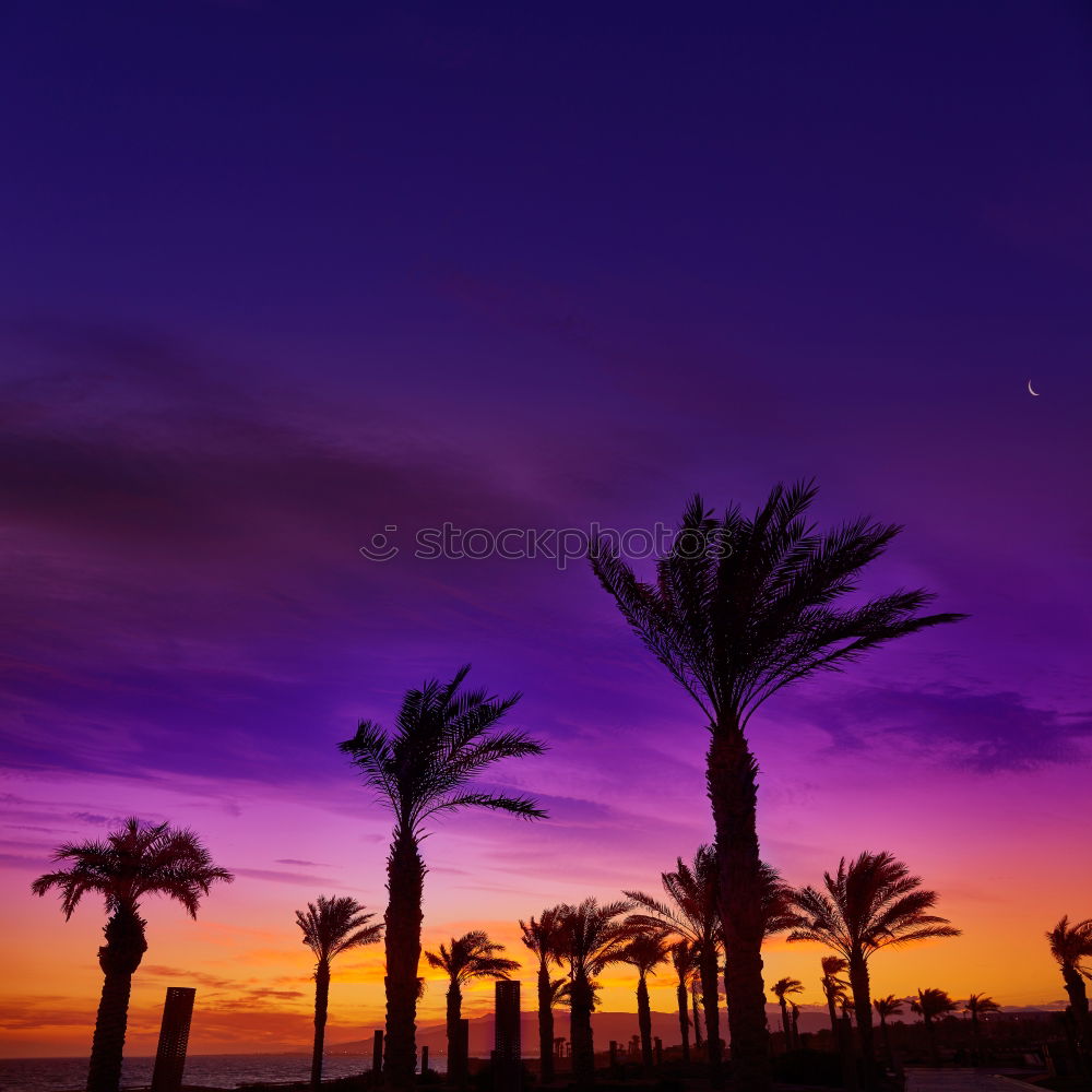 Similar – Mallehimmel Spanien