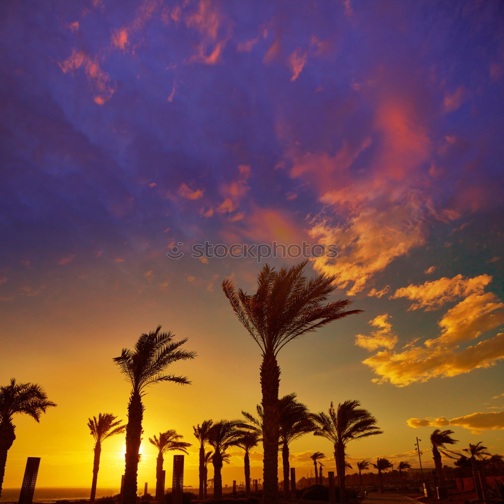 Similar – Mallehimmel Spanien