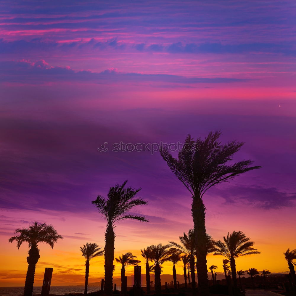 Mallehimmel Spanien