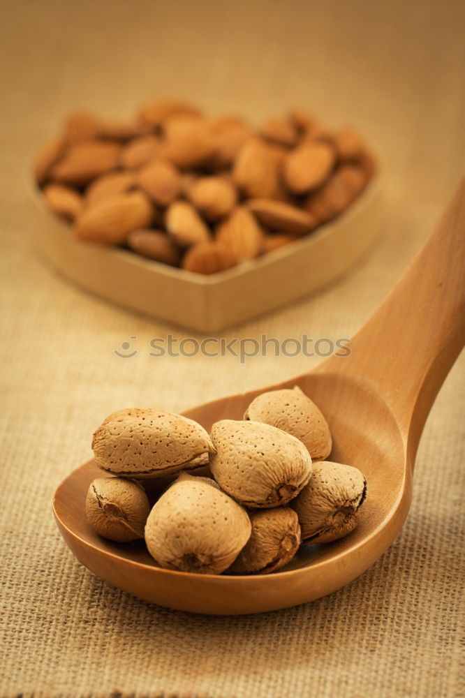 Similar – Image, Stock Photo Almond oil in bottle and nuts