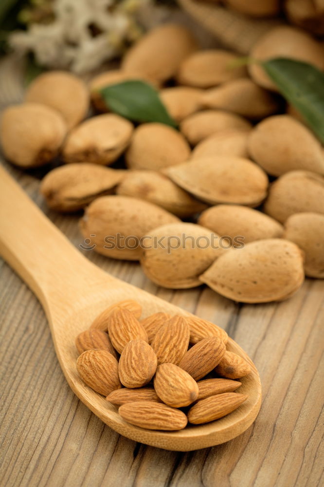 Similar – Image, Stock Photo Almond oil in bottle and nuts