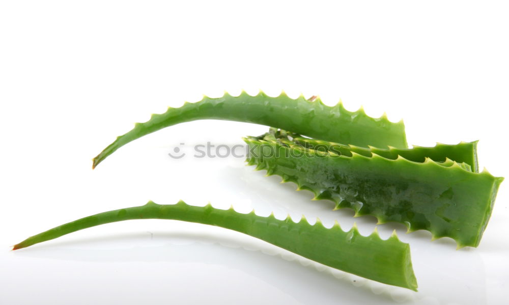 Similar – Image, Stock Photo anthurium Anthurium