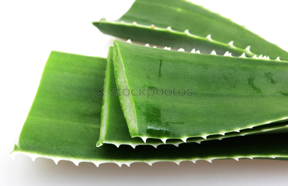 Similar – Image, Stock Photo soliloquy Plant Green