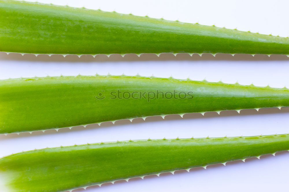 Similar – Foto Bild Schwimmend See grün