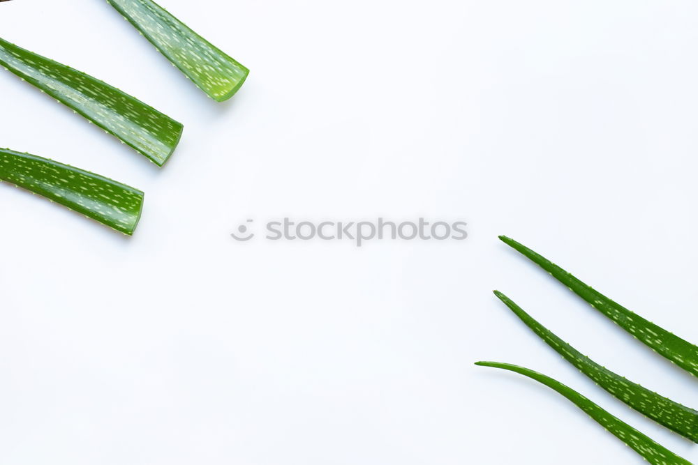 Image, Stock Photo Green asparagus with knife