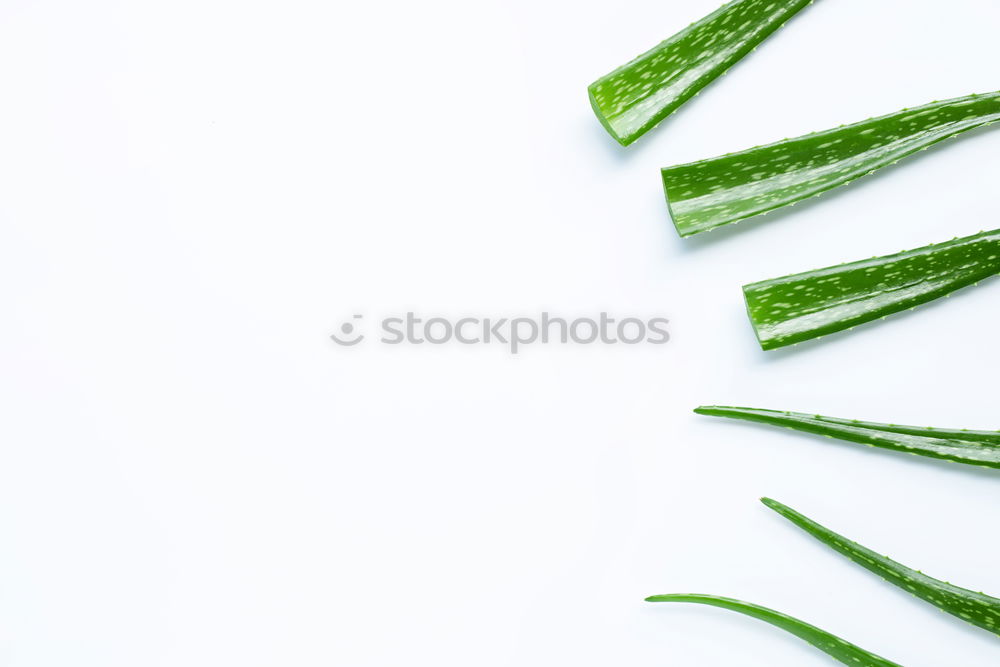 Similar – Image, Stock Photo Green asparagus with knife