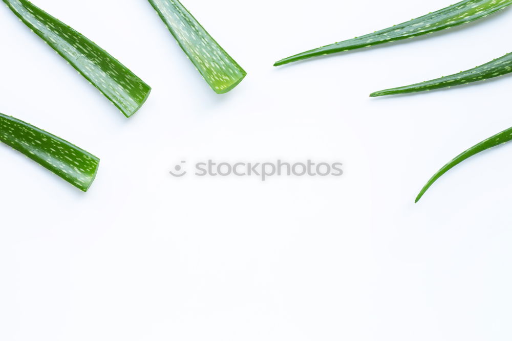 Similar – Image, Stock Photo Green asparagus with knife