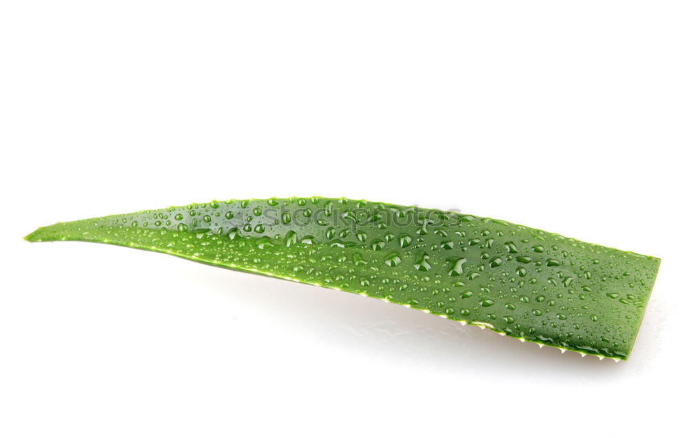 Similar – Image, Stock Photo globules Healthy