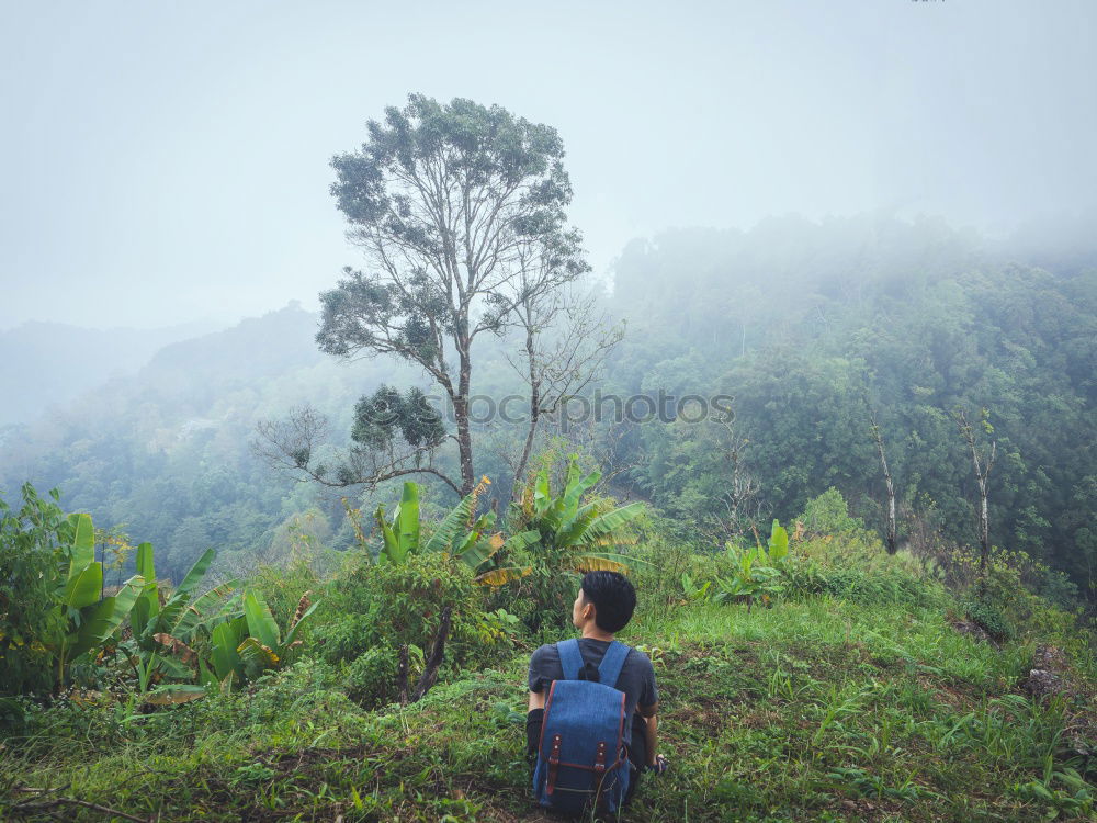 Similar – Image, Stock Photo Summit | Hiking | Clouds