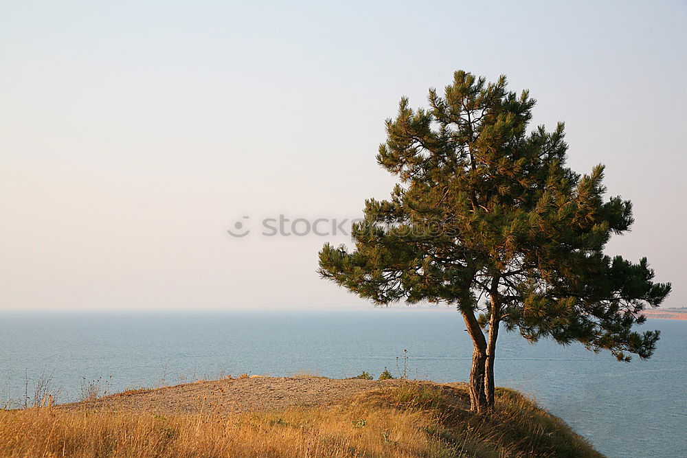 Similar – Image, Stock Photo brier Hiddensee Lighthouse