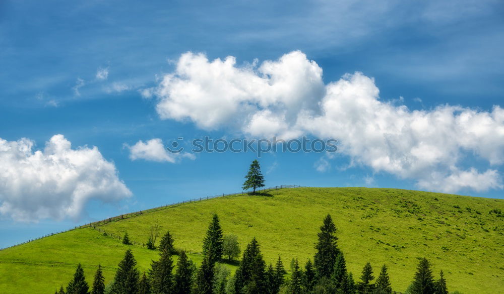 Similar – Image, Stock Photo Beautiful Carpathian Mountains Summer Landscape In Romania