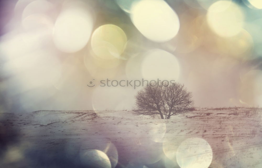 Similar – Image, Stock Photo evening mood Winter White