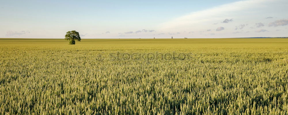 Similar – Image, Stock Photo Behind the horizon it goes on