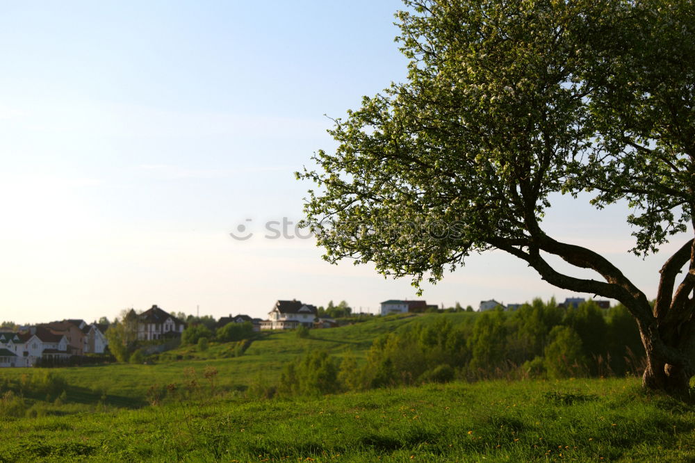 Similar – Frühling Berge u. Gebirge