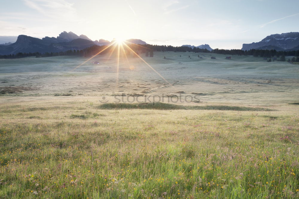 Similar – herbst Umwelt Natur