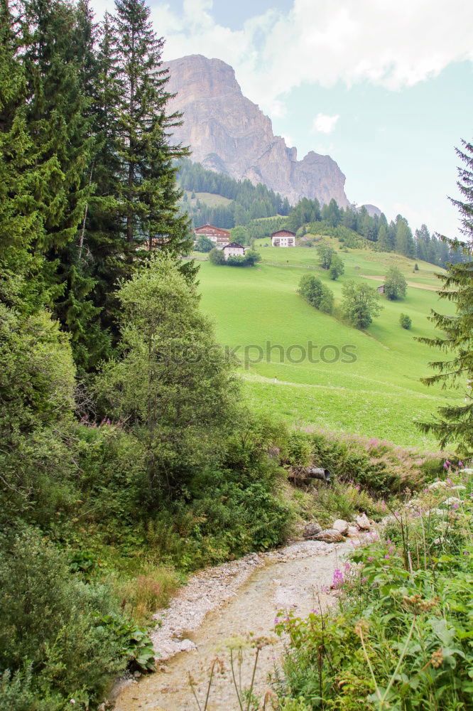 Similar – Image, Stock Photo Refusal, please change your accommodation.